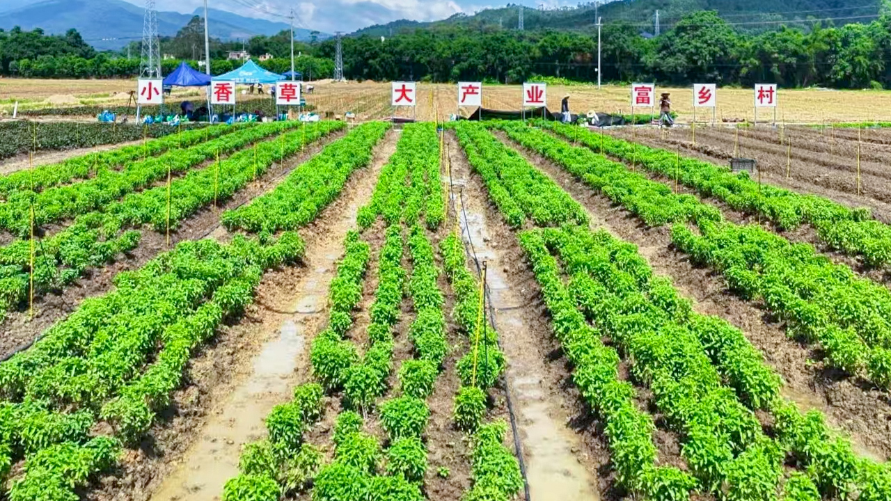 首页| CA88集团中国唯一官方网站